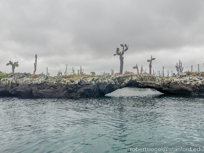 galapagos